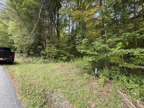 1542 Cr 21 Whitehall NY 12887