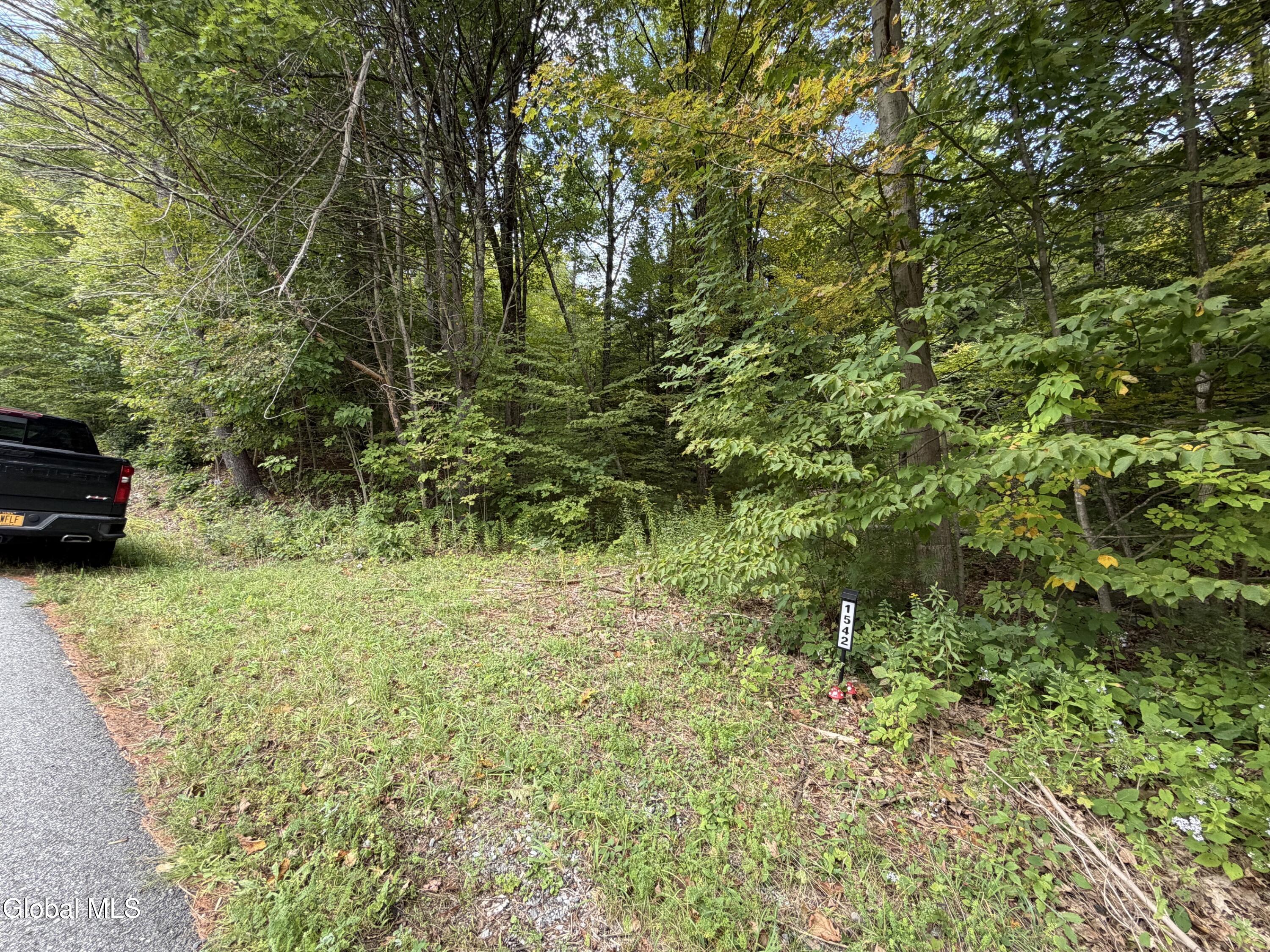 1542 Cr 21 Whitehall NY 12887