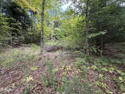 1542 Cr 21 Whitehall NY 12887