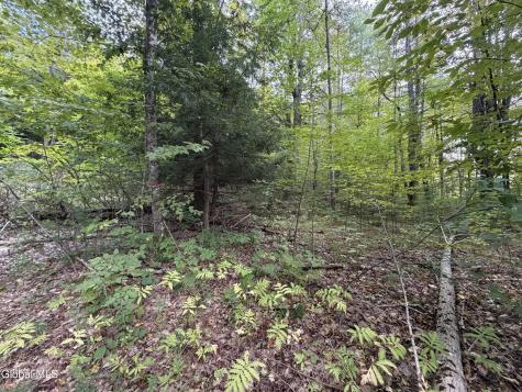 1542 Cr 21 Whitehall NY 12887