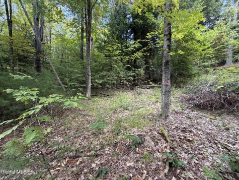 1542 Cr 21 Whitehall NY 12887