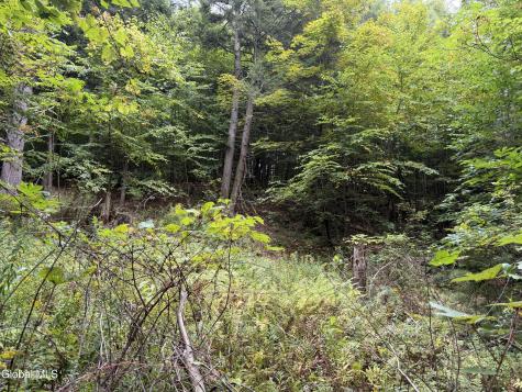1542 Cr 21 Whitehall NY 12887