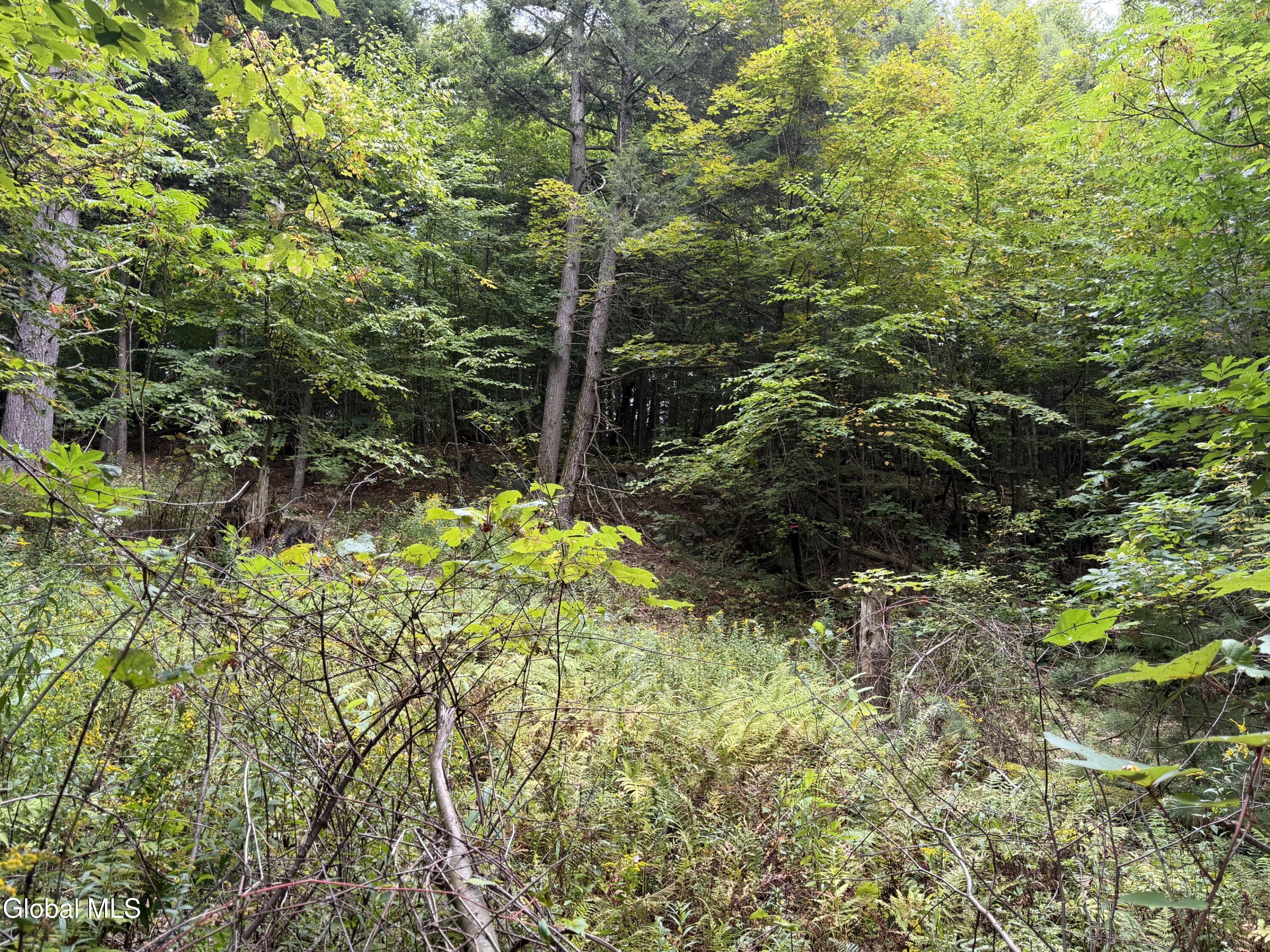 1542 Cr 21 Whitehall NY 12887
