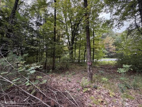 1542 Cr 21 Whitehall NY 12887