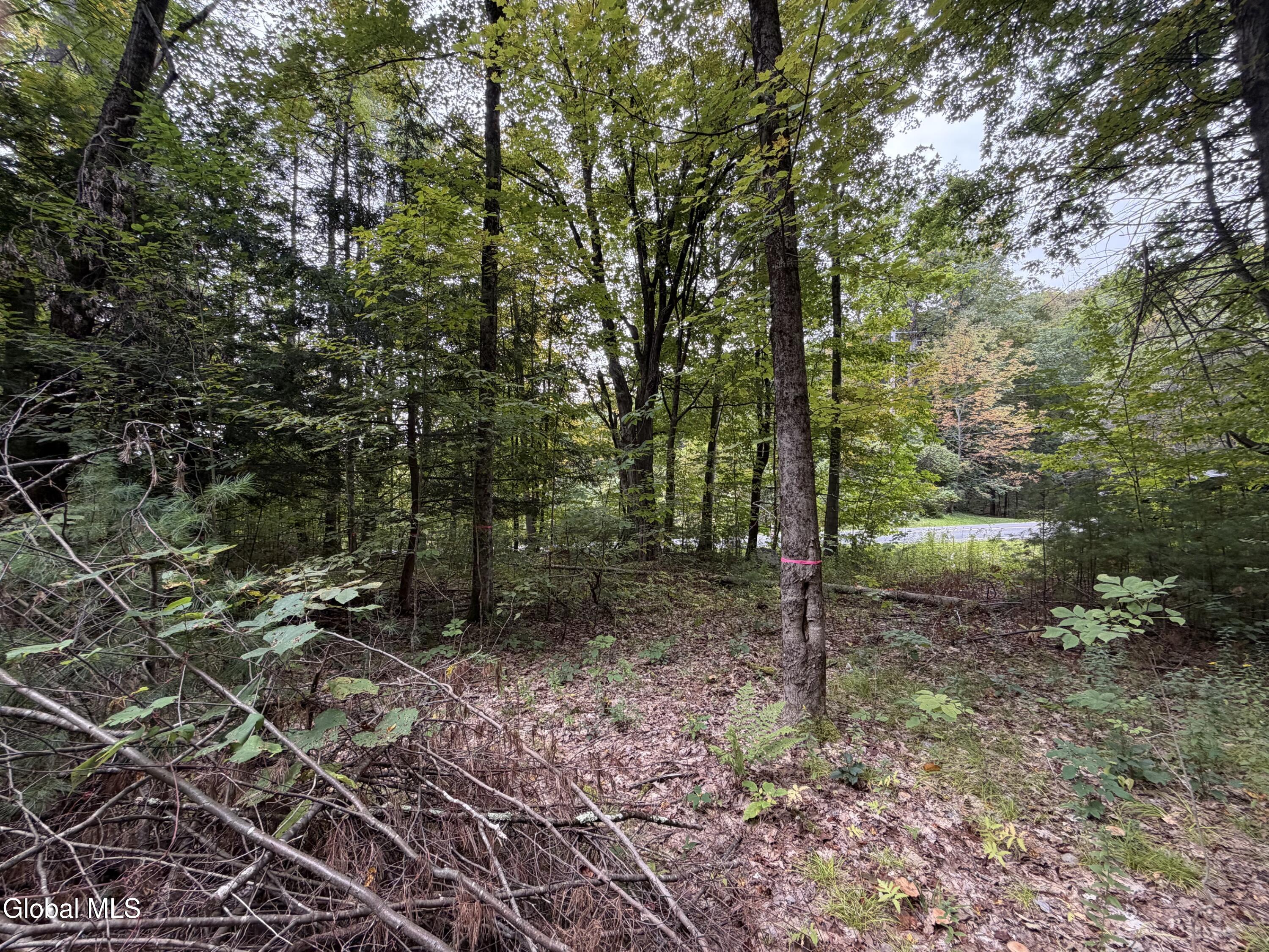 1542 Cr 21 Whitehall NY 12887