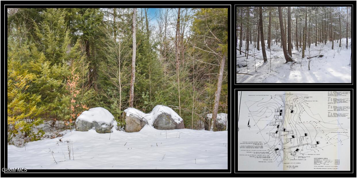 60 Carriage Knolls Road Chestertown NY 12817