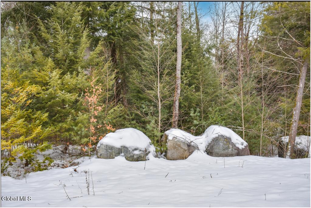 60 Carriage Knolls Road Chestertown NY 12817