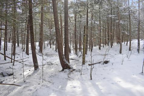 60 Carriage Knolls Road Chestertown NY 12817