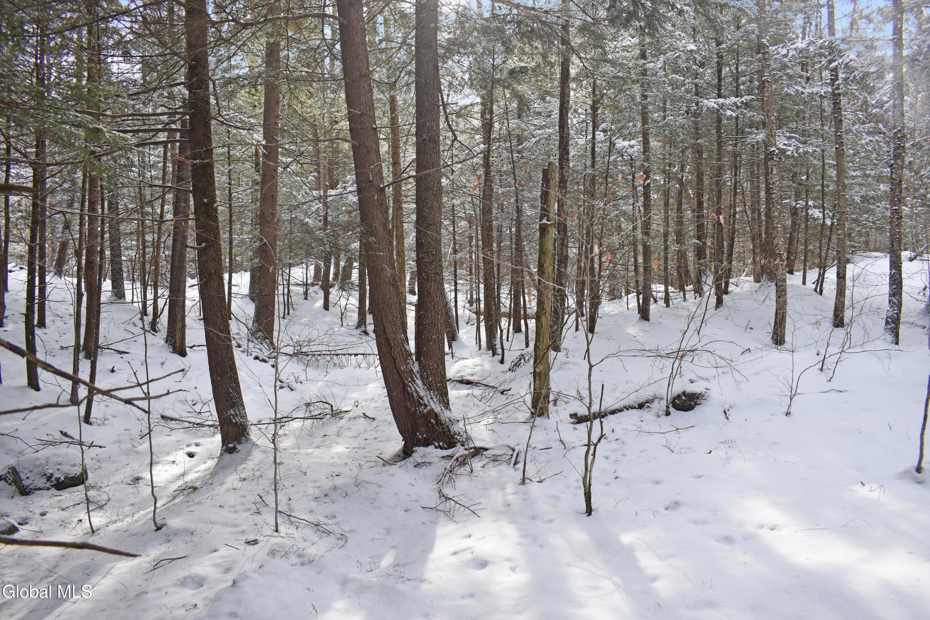 60 Carriage Knolls Road Chestertown NY 12817