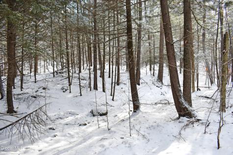 60 Carriage Knolls Road Chestertown NY 12817