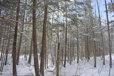 60 Carriage Knolls Road Chestertown NY 12817