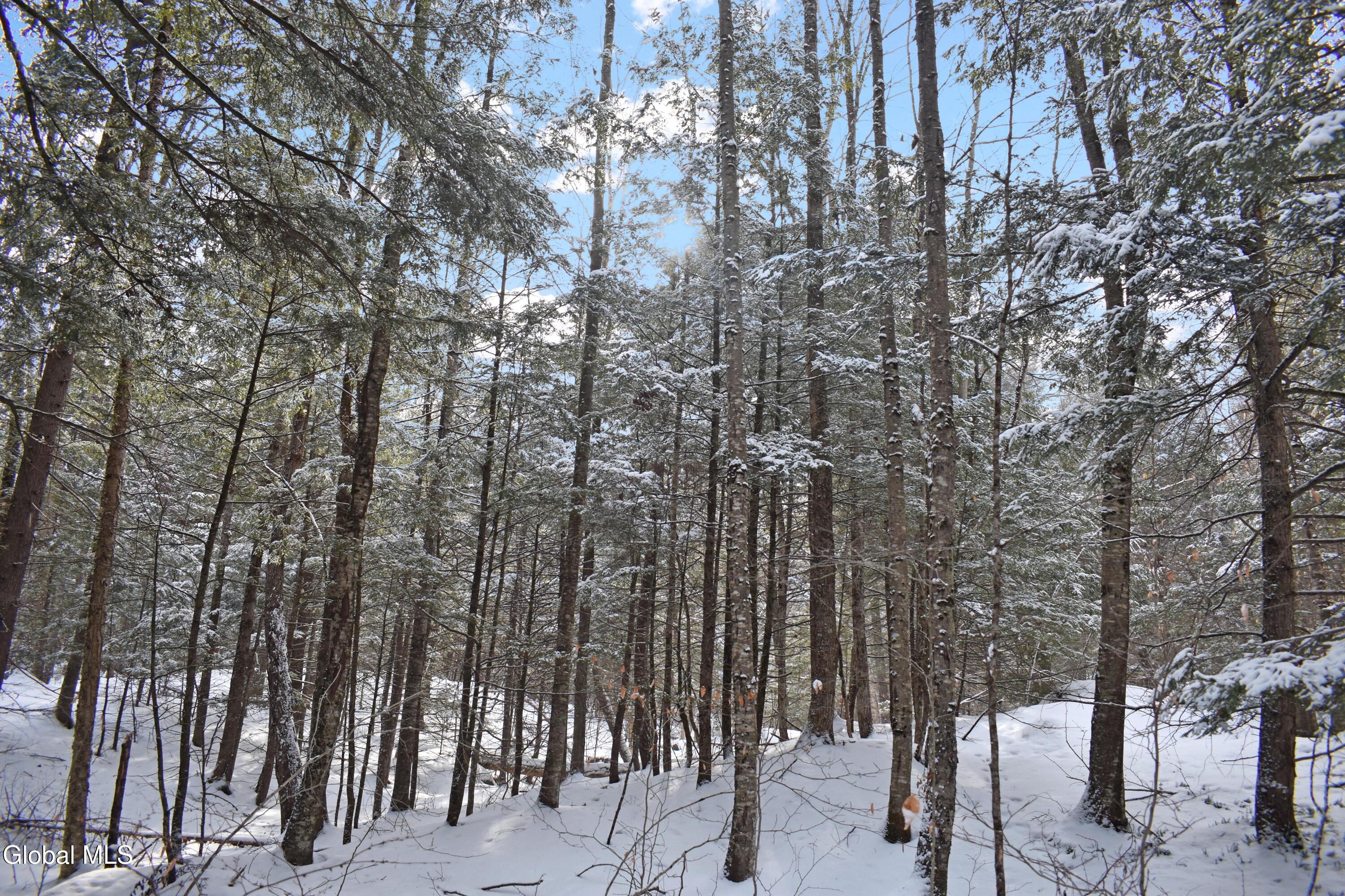 60 Carriage Knolls Road Chestertown NY 12817