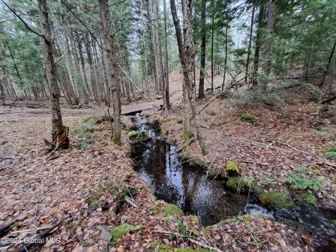 L21.1 Golf Course Road Warrensburg NY 12885
