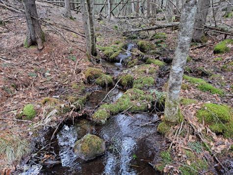 L21.1 Golf Course Road Warrensburg NY 12885