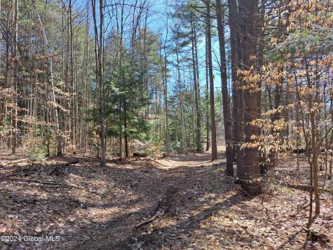 L21.1 Golf Course Road Warrensburg NY 12885