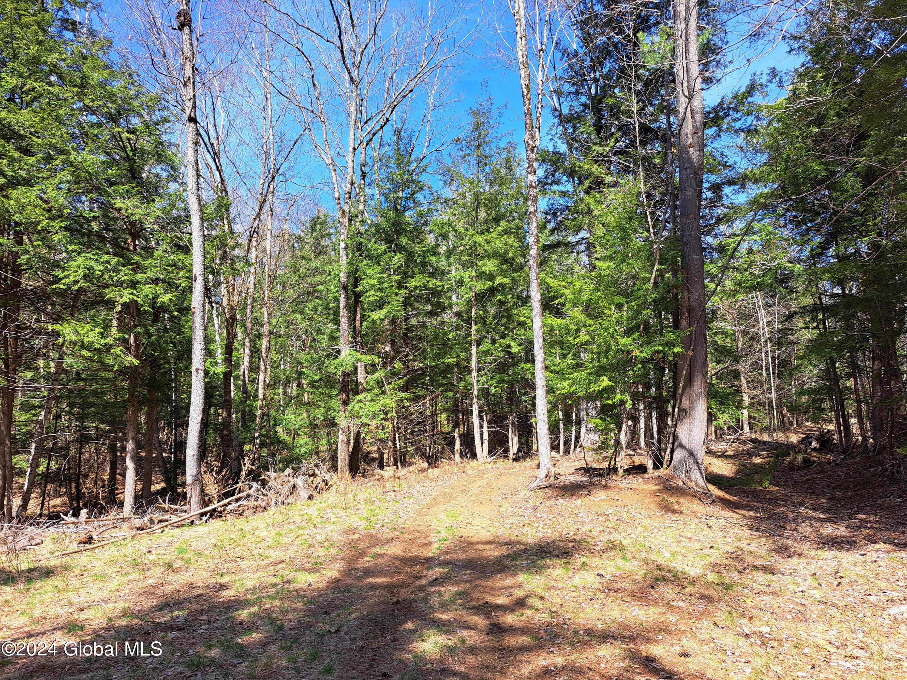 L21.1 Golf Course Road Warrensburg NY 12885