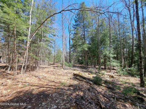 L21.1 Golf Course Road Warrensburg NY 12885