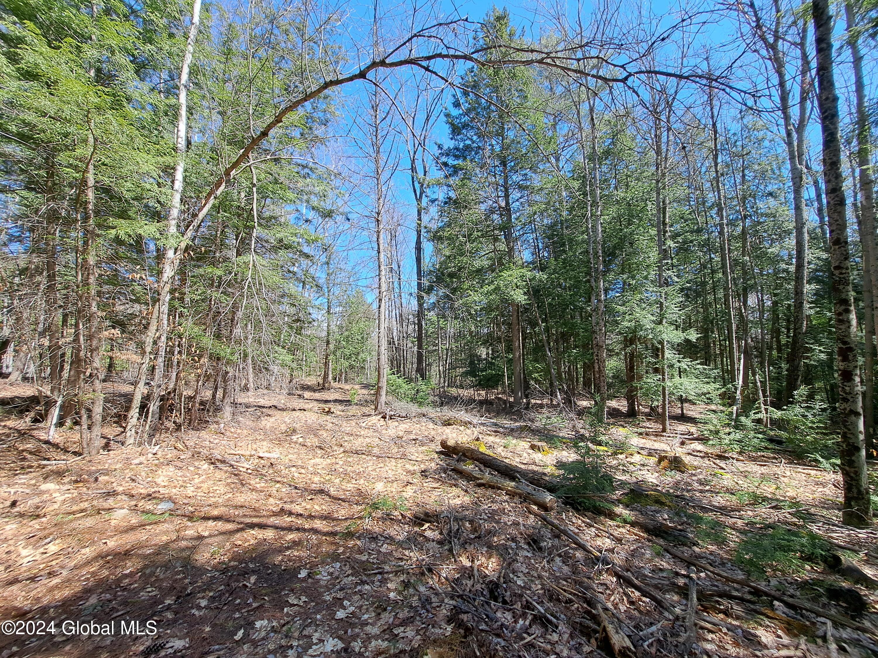 L21.1 Golf Course Road Warrensburg NY 12885