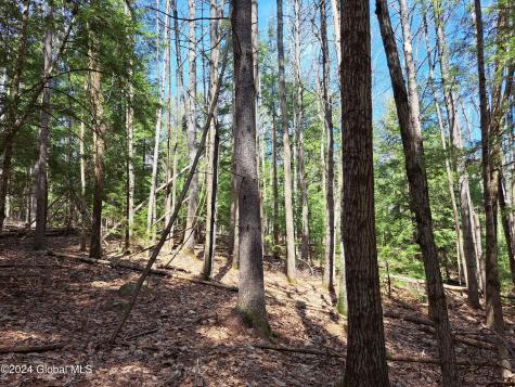 L21.1 Golf Course Road Warrensburg NY 12885