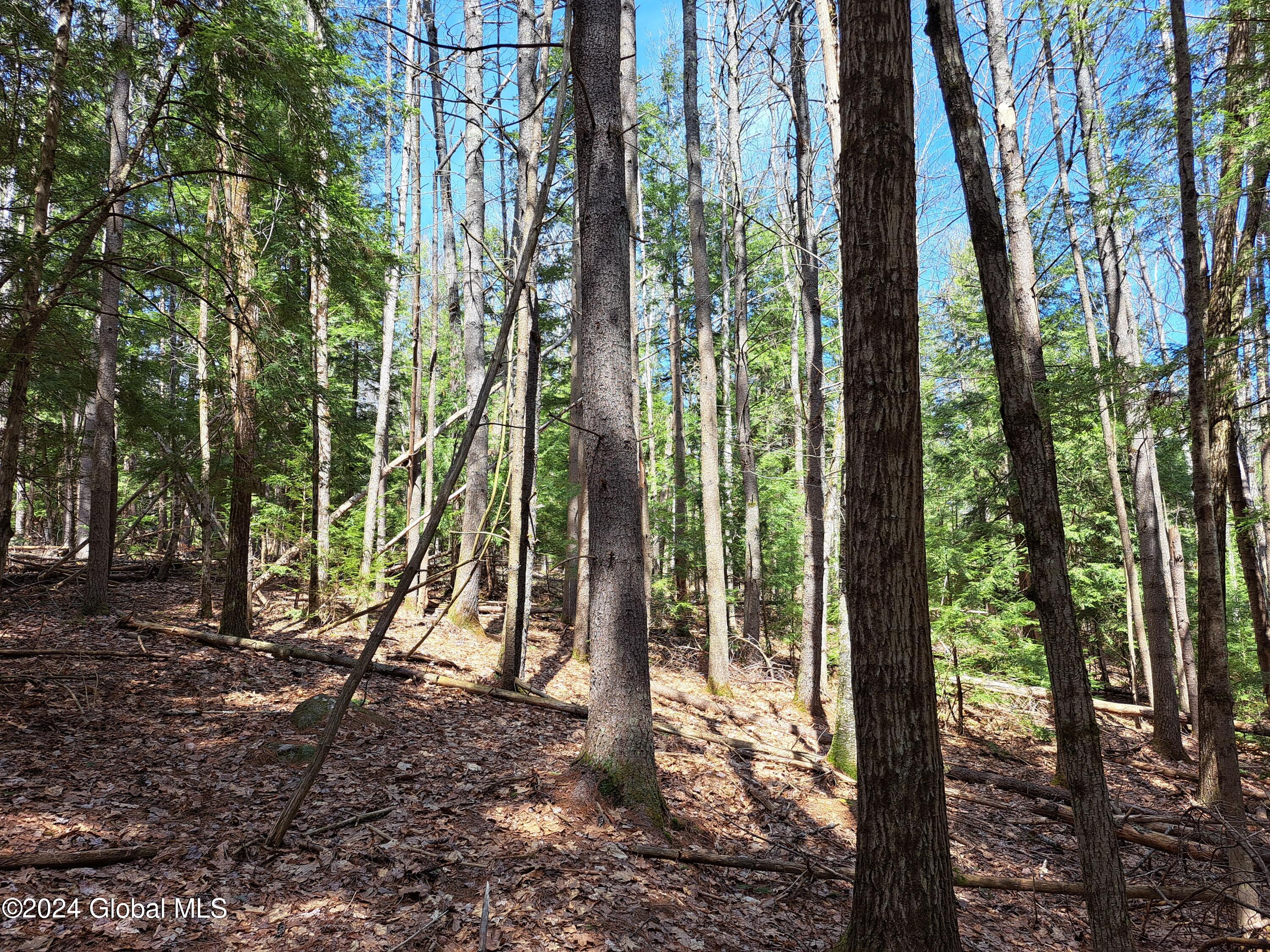 L21.1 Golf Course Road Warrensburg NY 12885