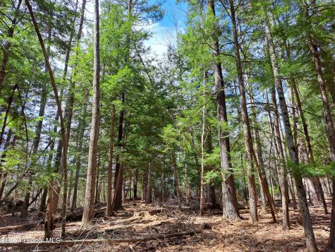 L21.1 Golf Course Road Warrensburg NY 12885