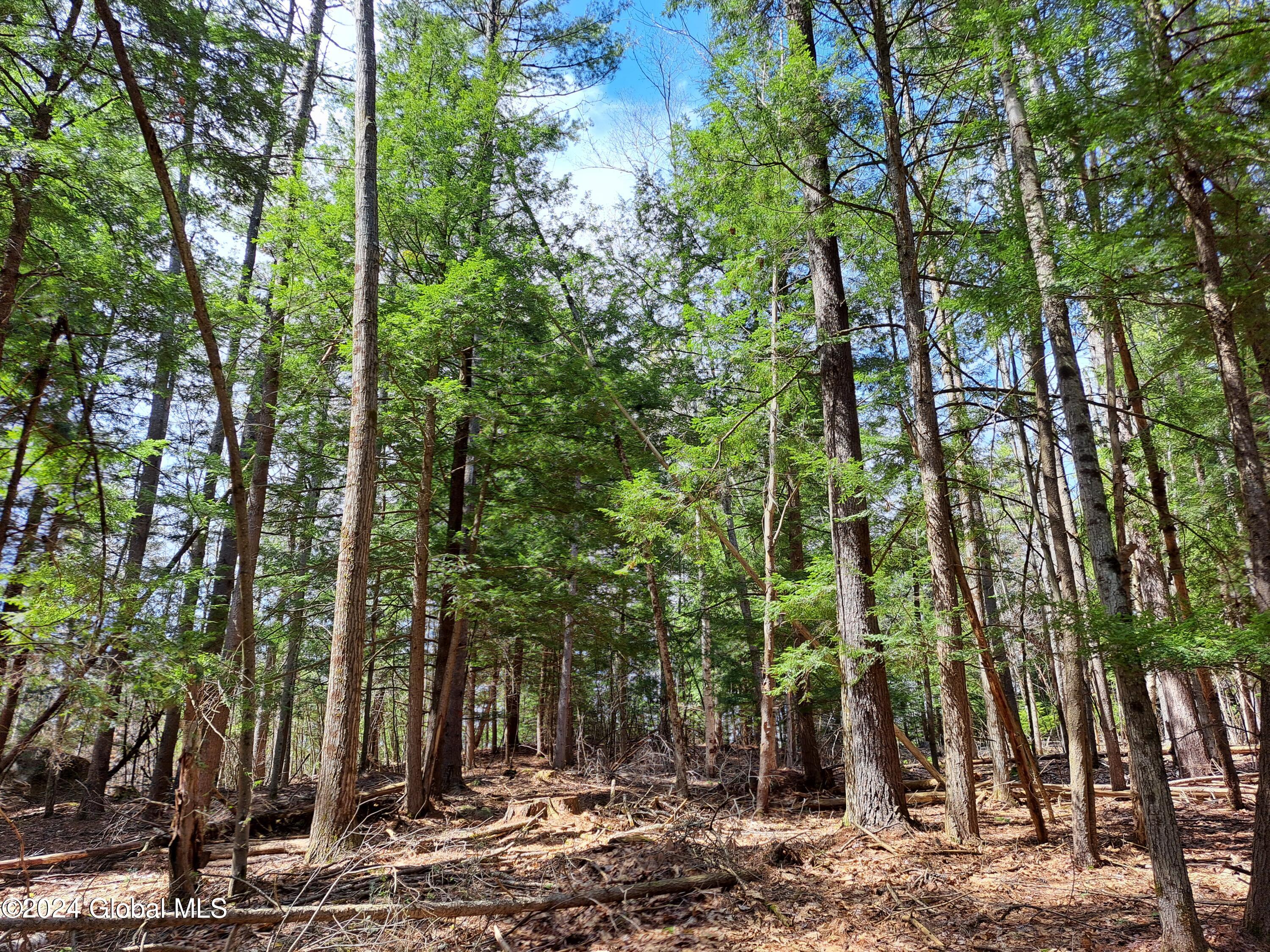 L21.1 Golf Course Road Warrensburg NY 12885