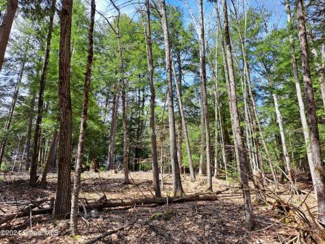 L21.1 Golf Course Road Warrensburg NY 12885