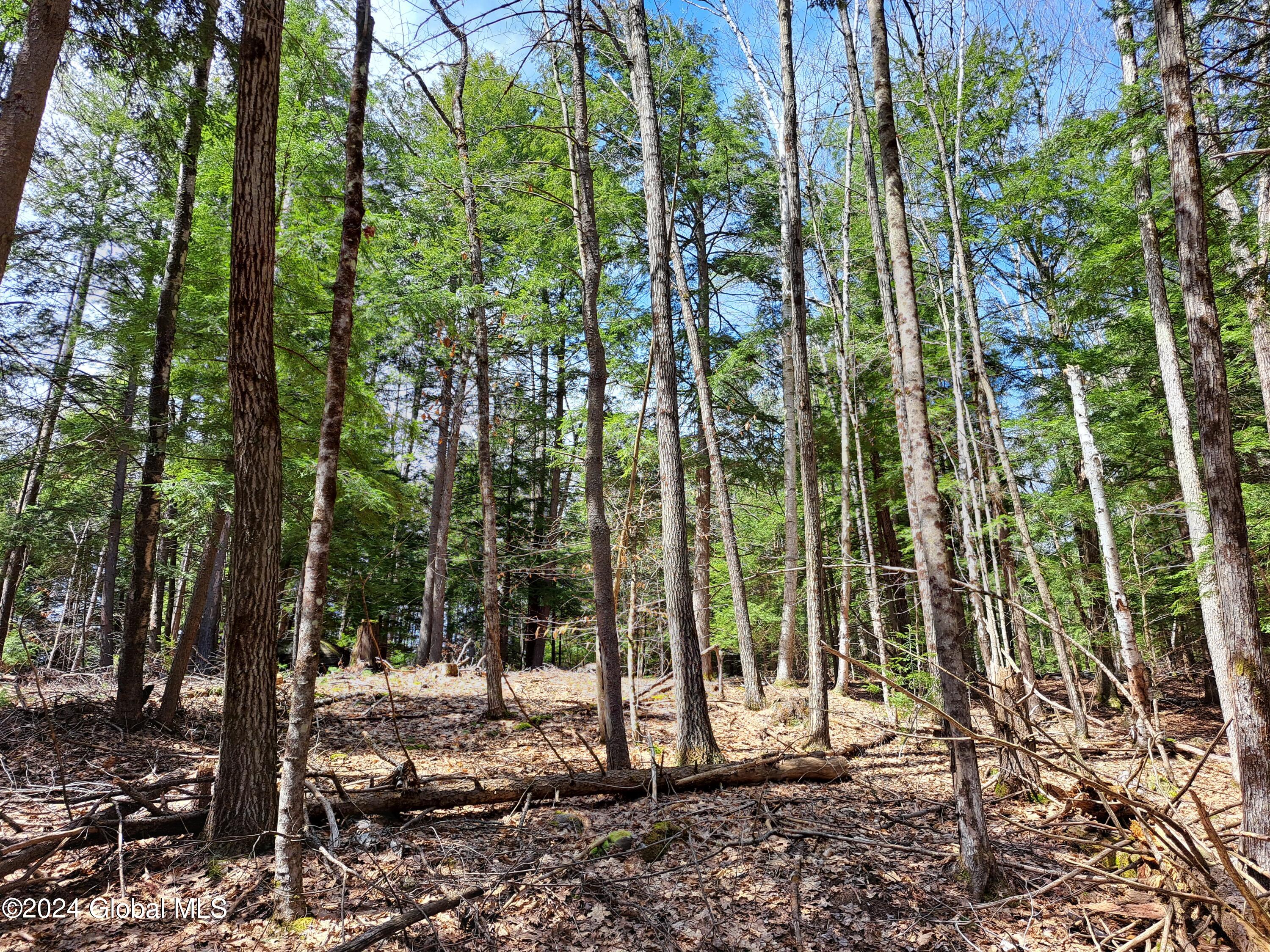 L21.1 Golf Course Road Warrensburg NY 12885