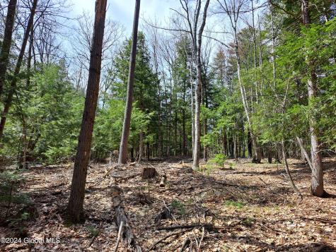 L21.1 Golf Course Road Warrensburg NY 12885