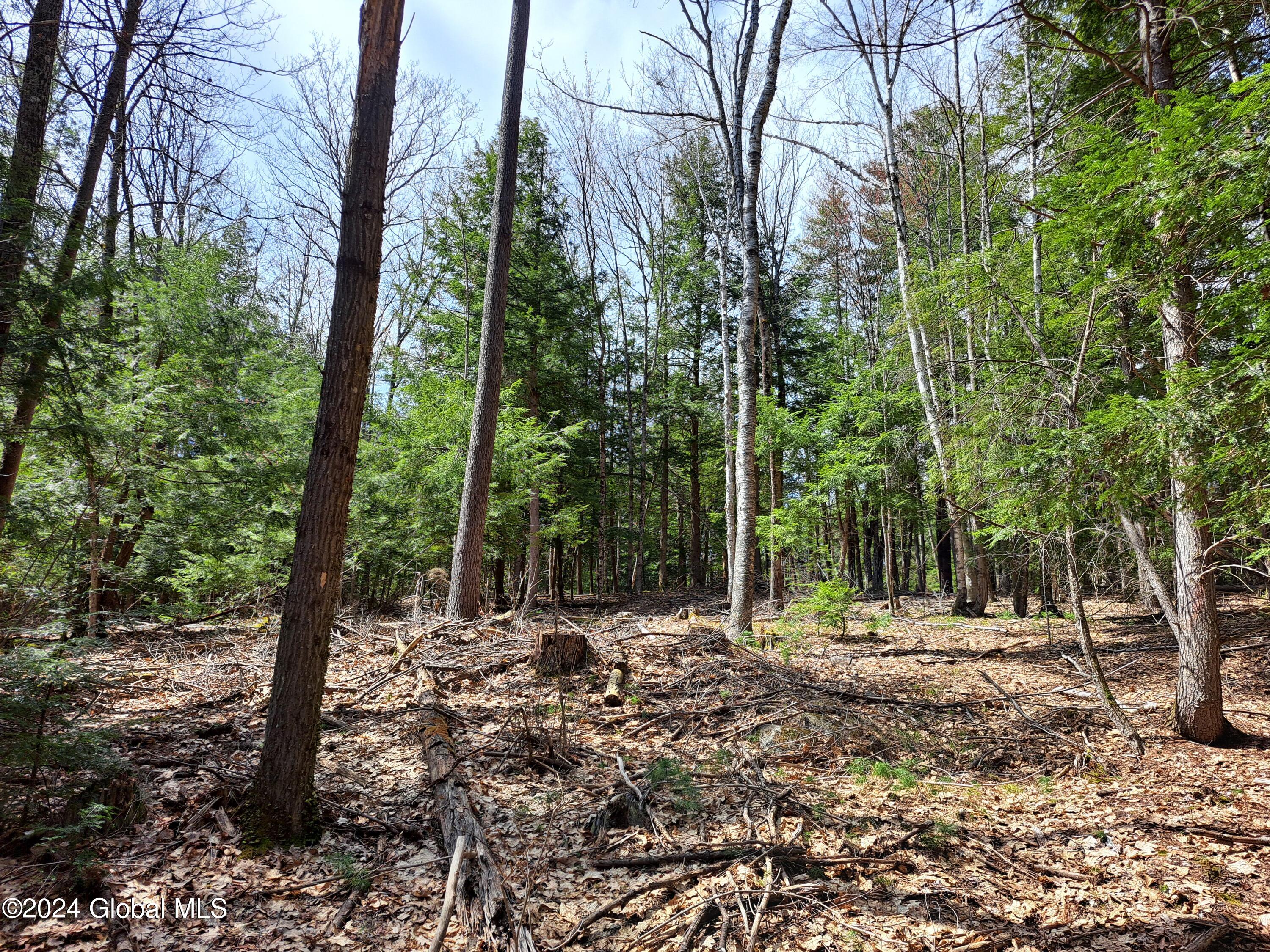 L21.1 Golf Course Road Warrensburg NY 12885