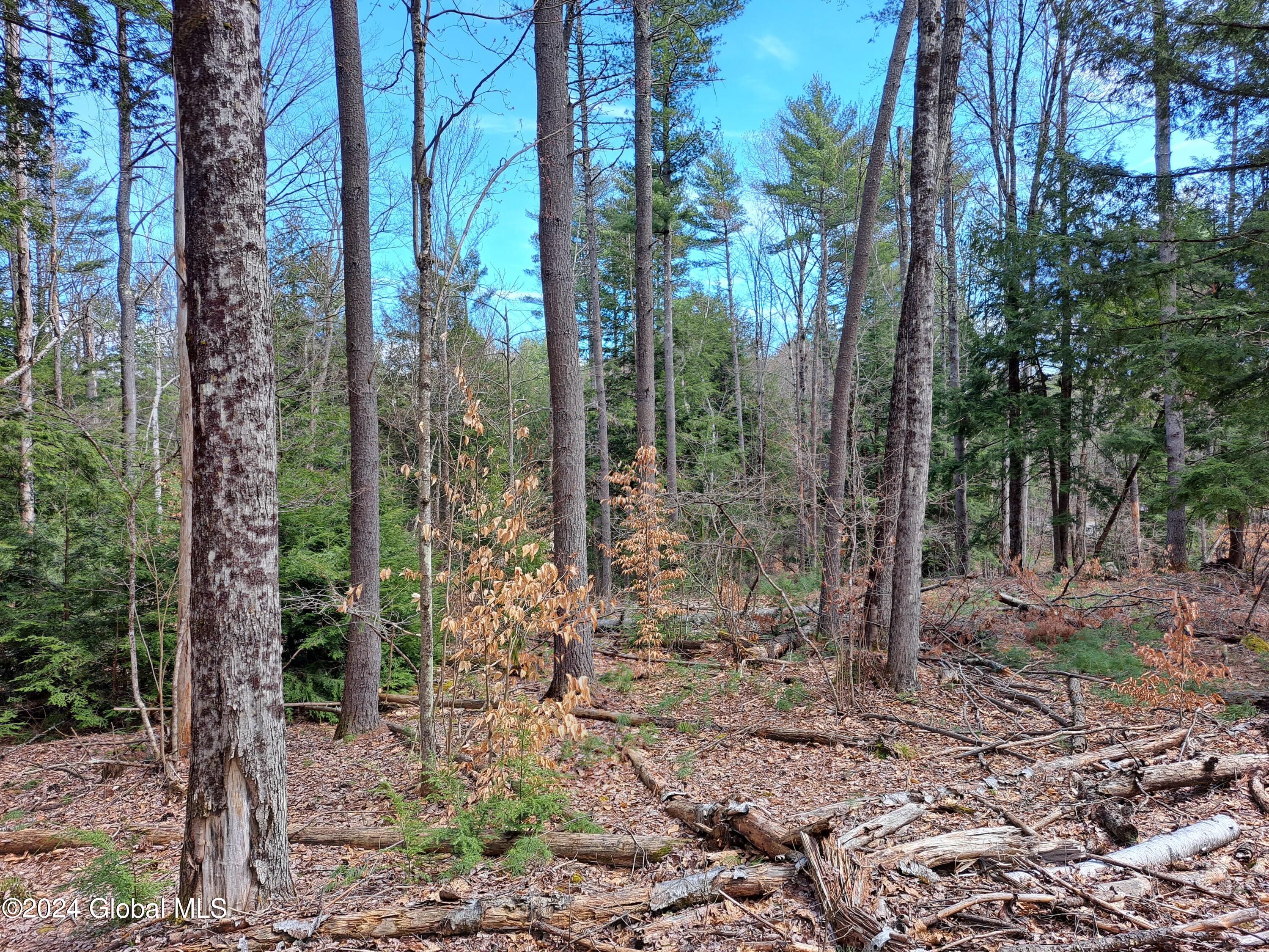 L21.1 Golf Course Road Warrensburg NY 12885