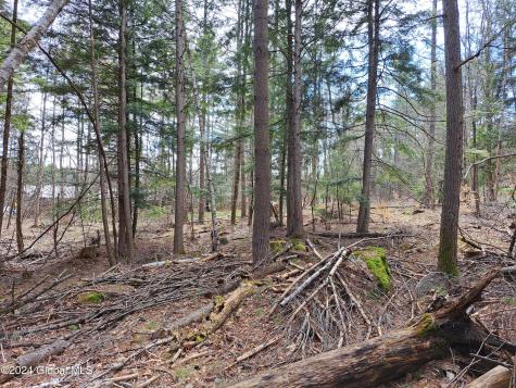L21.1 Golf Course Road Warrensburg NY 12885