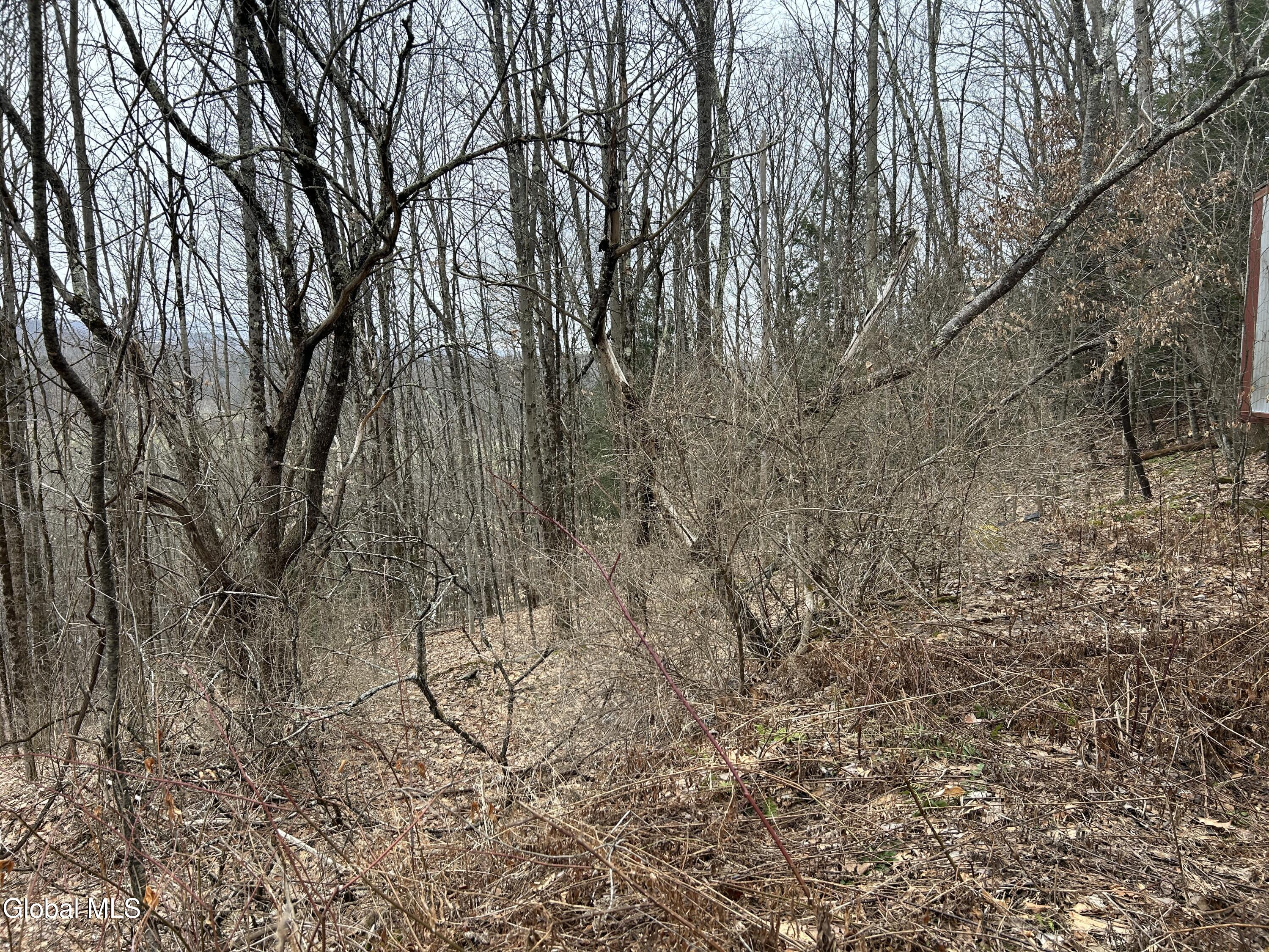 135 Clark Way Salem NY 12865