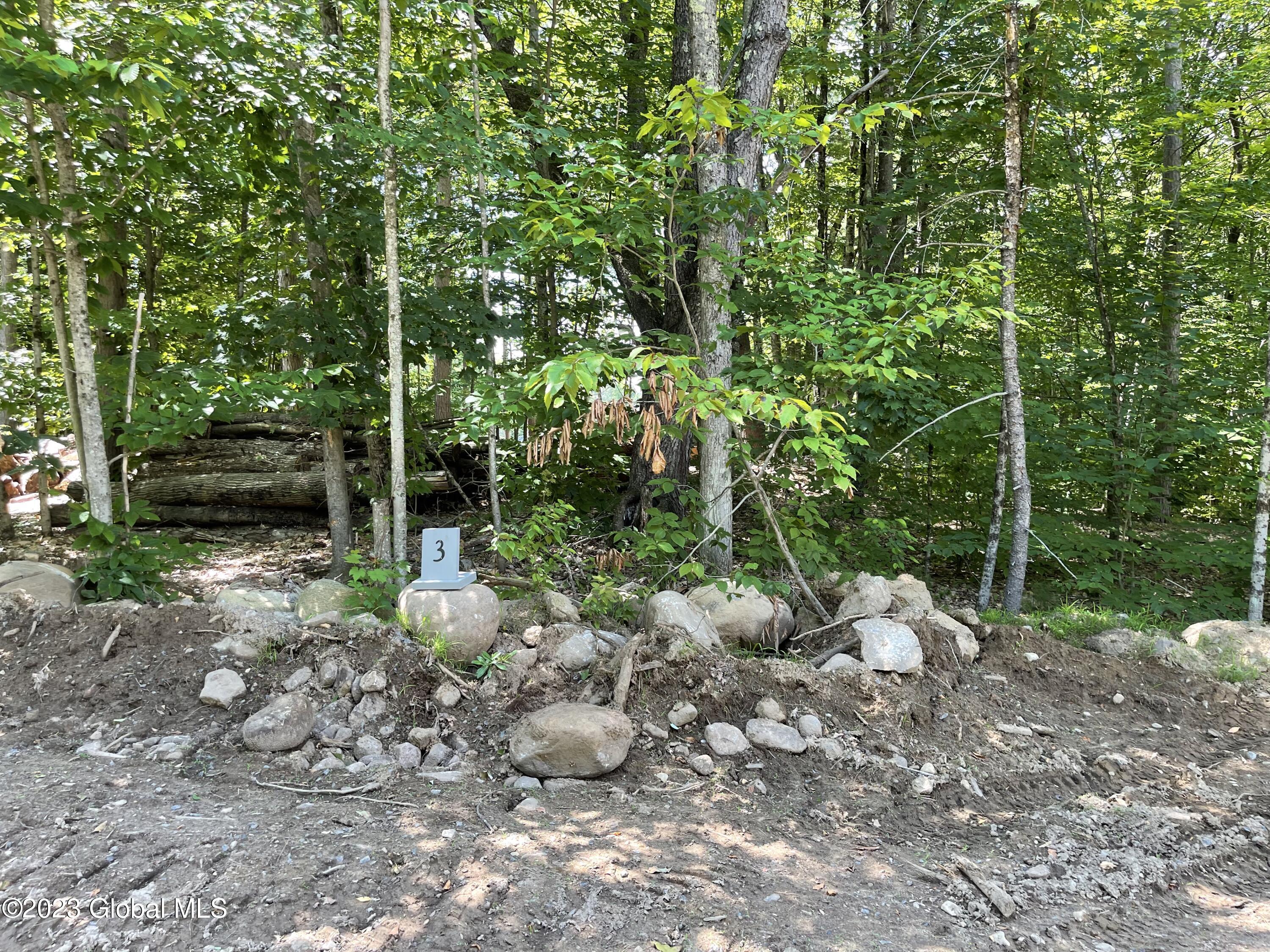 3 Adk Acres Prvt. Road Edinburg NY 12134