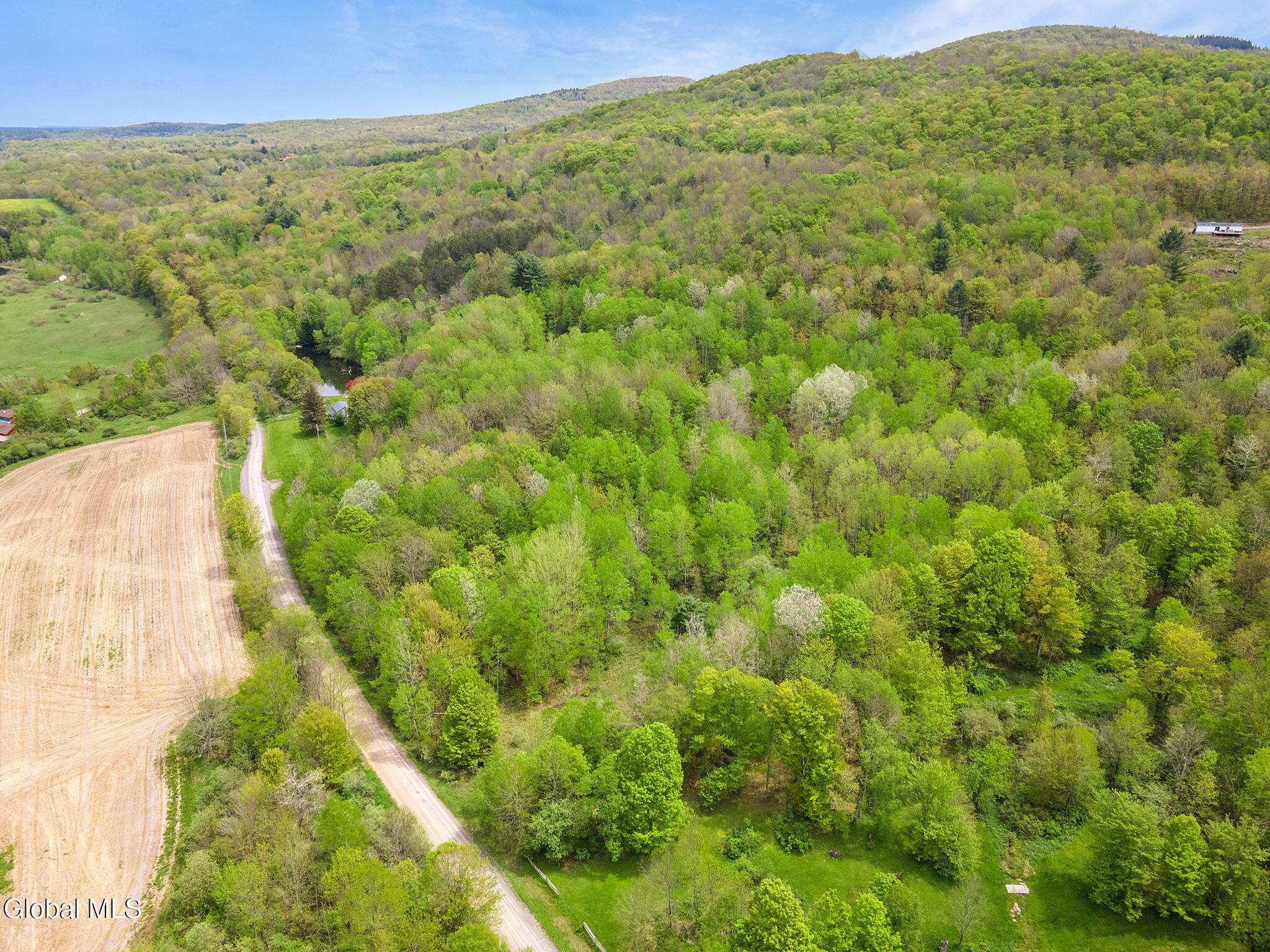 L11 Sternberg Road Jefferson NY 12167
