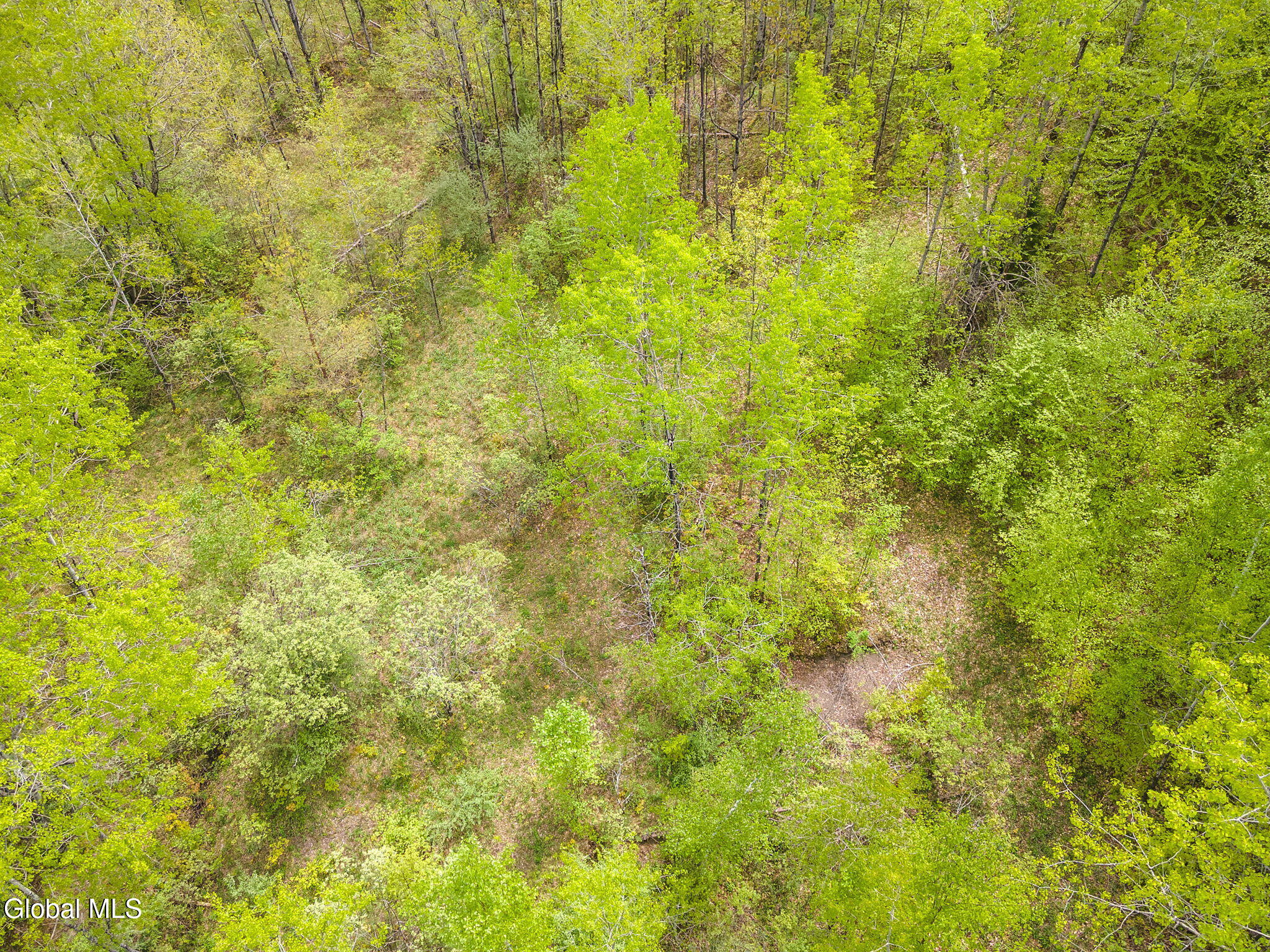 L11 Sternberg Road Jefferson NY 12167