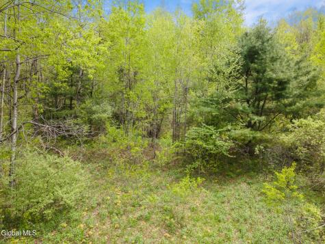 L11 Sternberg Road Jefferson NY 12167