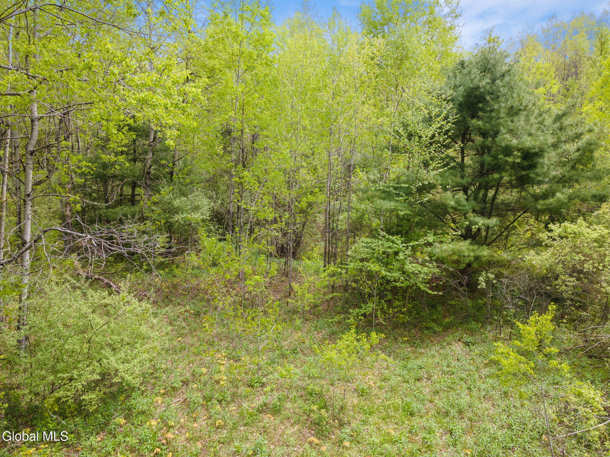 L11 Sternberg Road Jefferson NY 12167