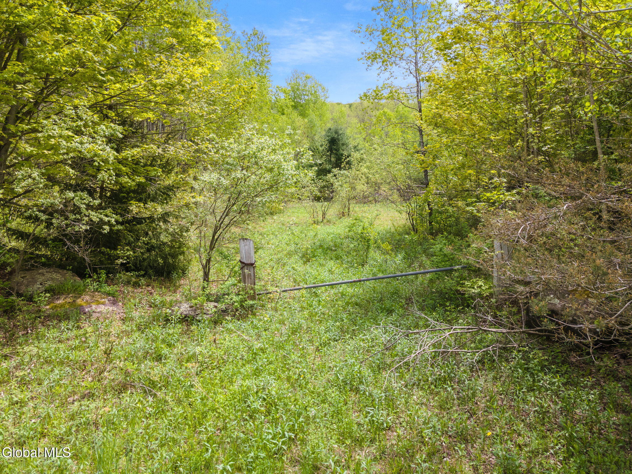 L11 Sternberg Road Jefferson NY 12167