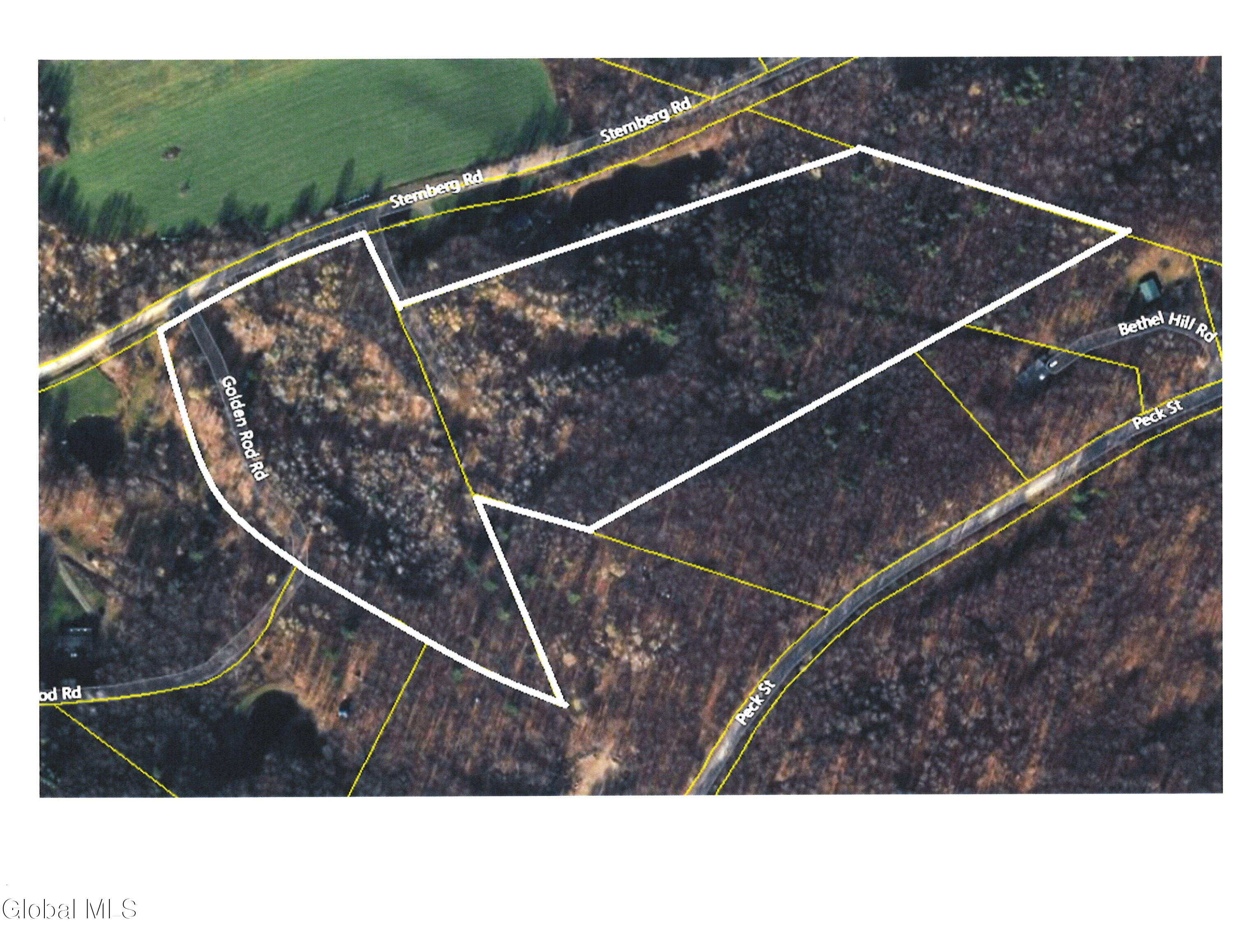 L11 Sternberg Road Jefferson NY 12167