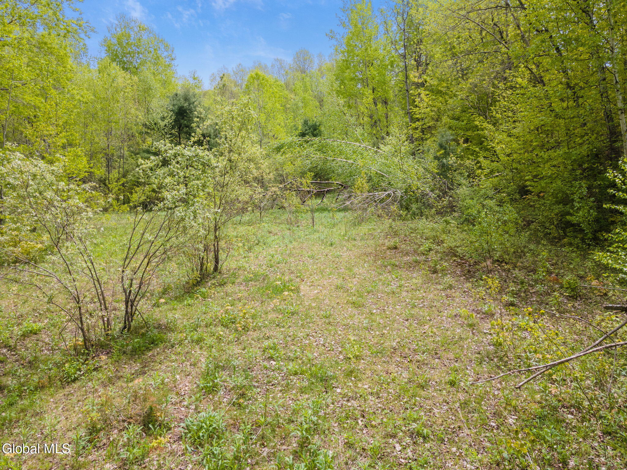 L11 Sternberg Road Jefferson NY 12167