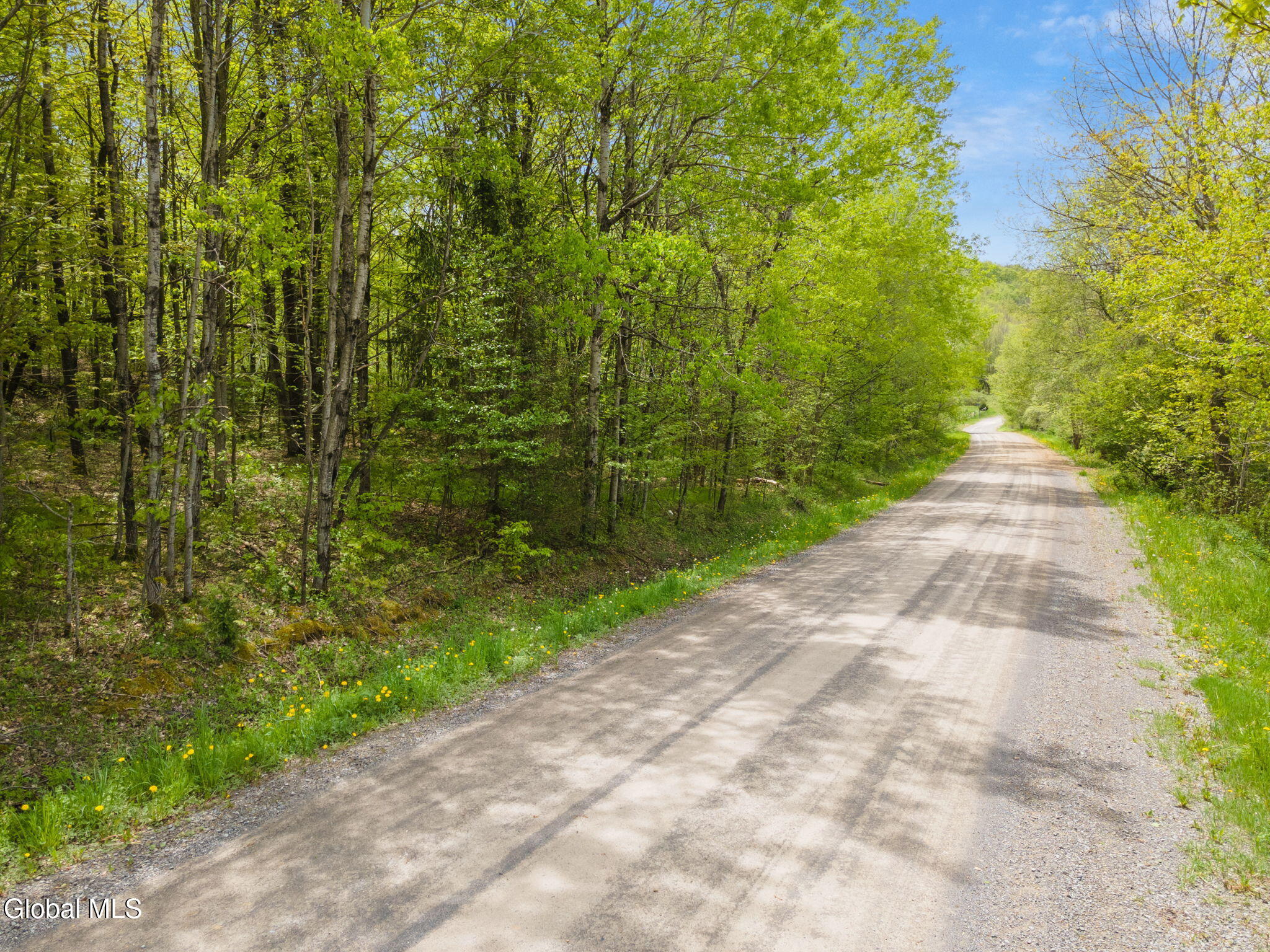 L11 Sternberg Road Jefferson NY 12167