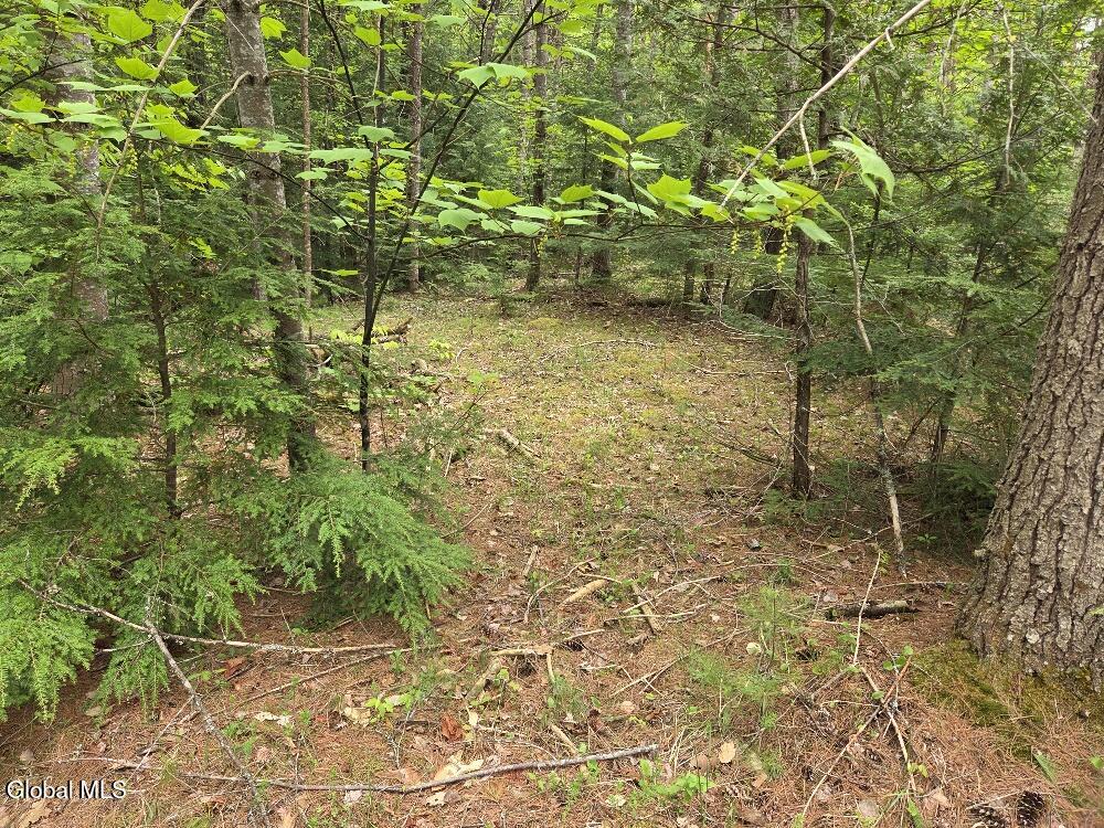 L2 & L3 Old Schroon Road Pottersville NY 12860