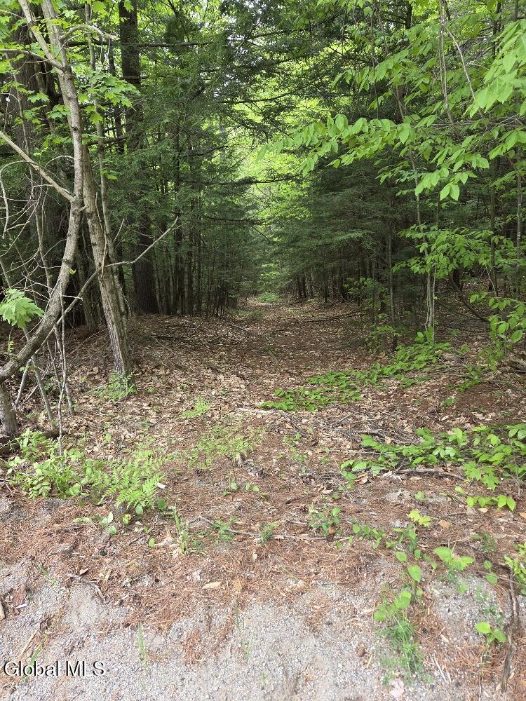 L2 & L3 Old Schroon Road Pottersville NY 12860