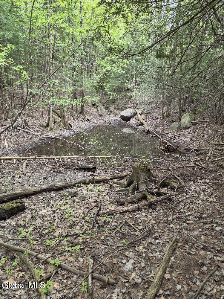 L2 & L3 Old Schroon Road Pottersville NY 12860