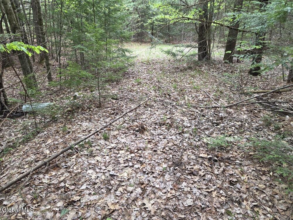 L2 & L3 Old Schroon Road Pottersville NY 12860