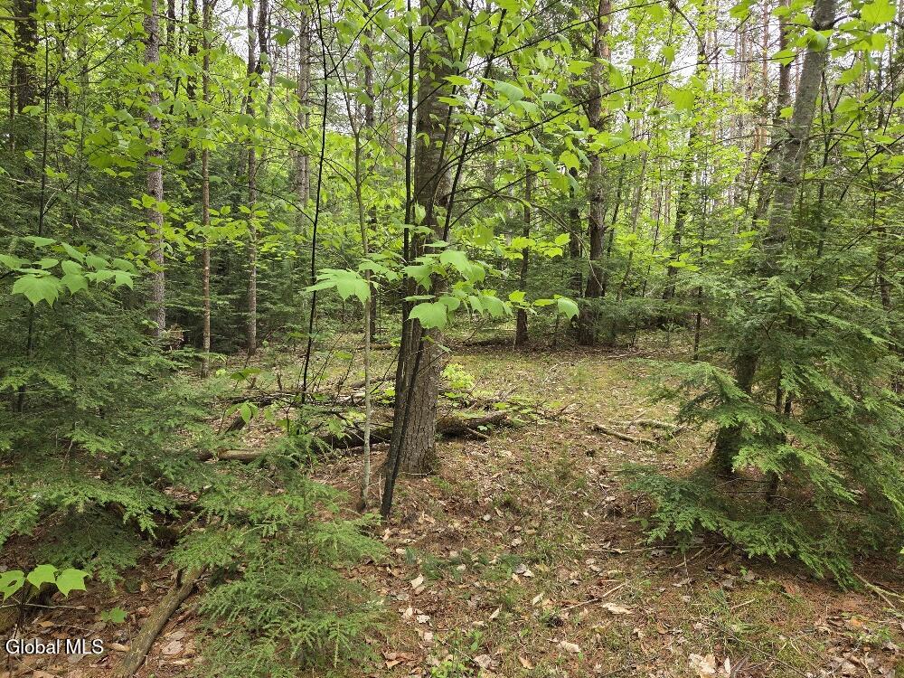 L2 & L3 Old Schroon Road Pottersville NY 12860