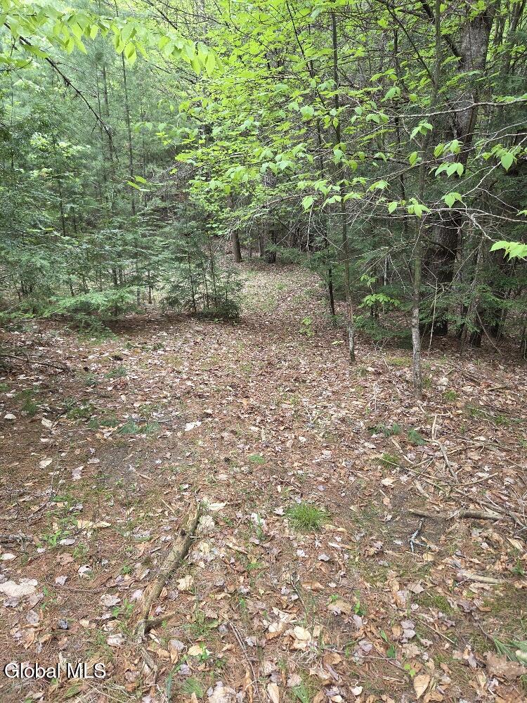 L2 & L3 Old Schroon Road Pottersville NY 12860