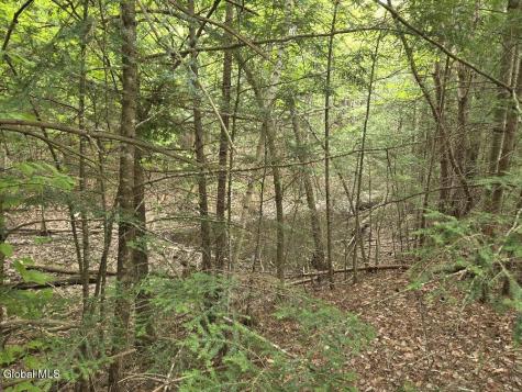 L2 & L3 Old Schroon Road Pottersville NY 12860