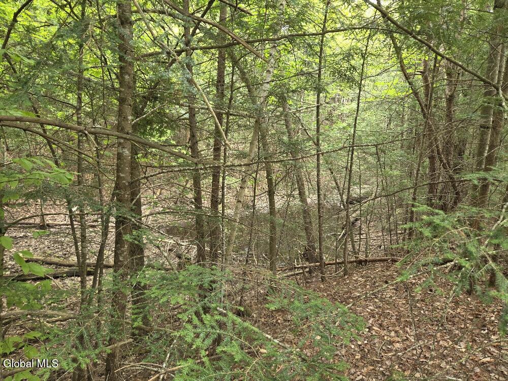 L2 & L3 Old Schroon Road Pottersville NY 12860
